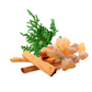Aroma Fusions - Alegra