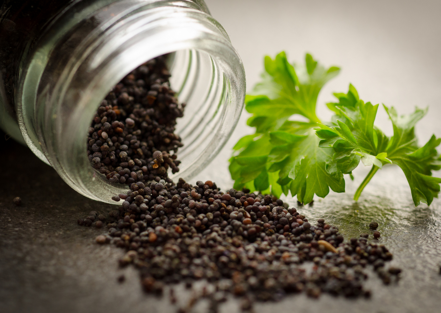 Indian Black Peppercorn Essential Oil